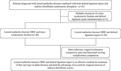 A retrospective study of deltoid ligament repair versus syndesmotic fixation in lateral malleolus fracture combined with both deltoid ligament injury and inferior tibiofibular syndesmotic disruption